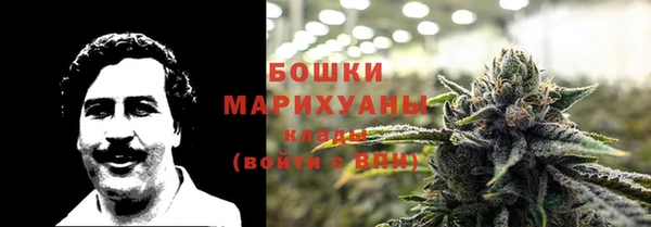прущая мука Богданович