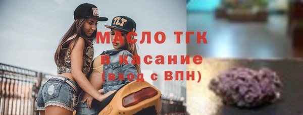 спиды Богородицк