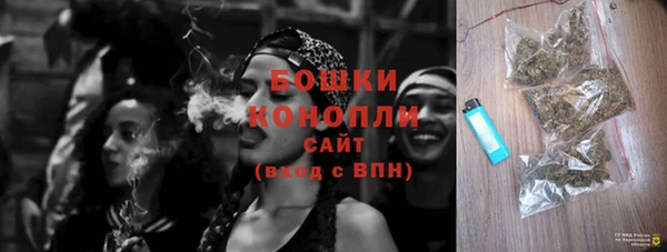 спиды Богородицк