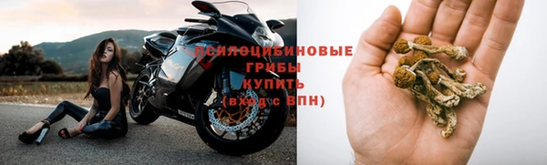 спиды Богородицк