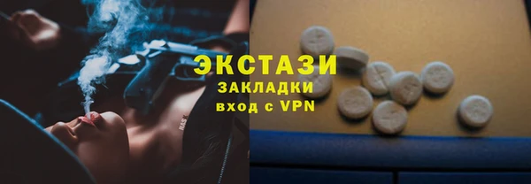 спиды Богородицк