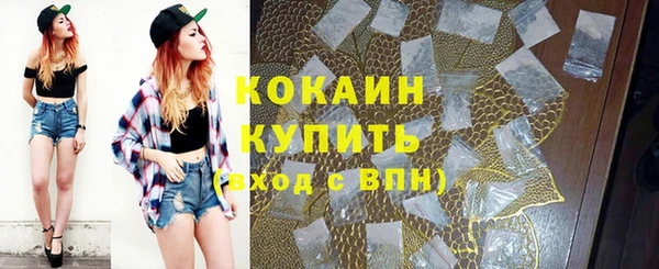 спиды Богородицк