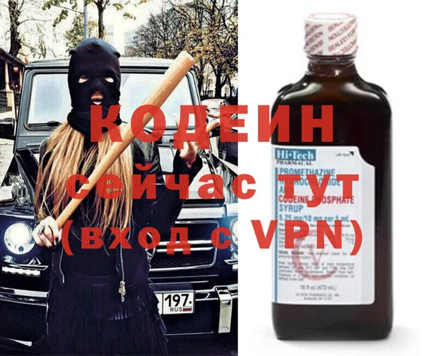 спиды Богородицк