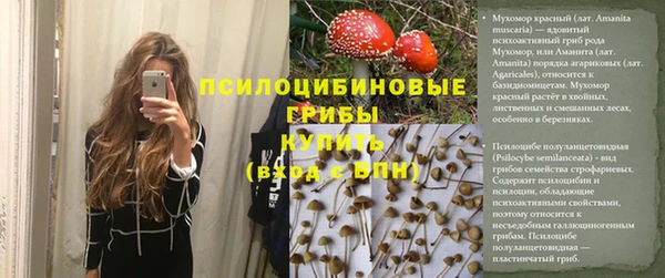 прущая мука Богданович