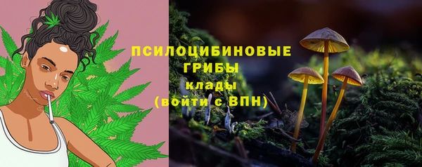 прущая мука Богданович